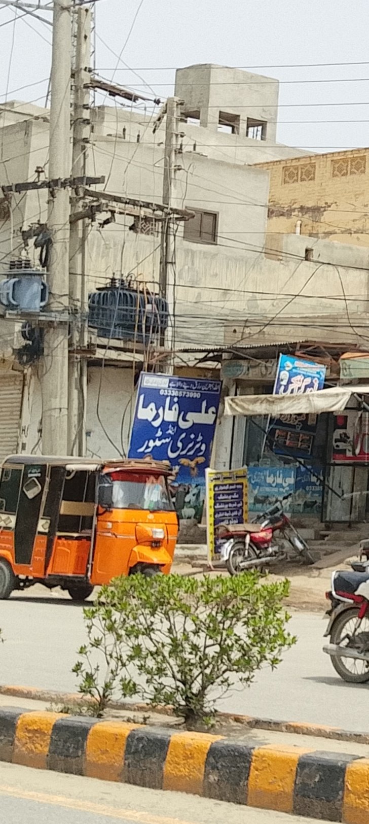 Ali foram and watarni store